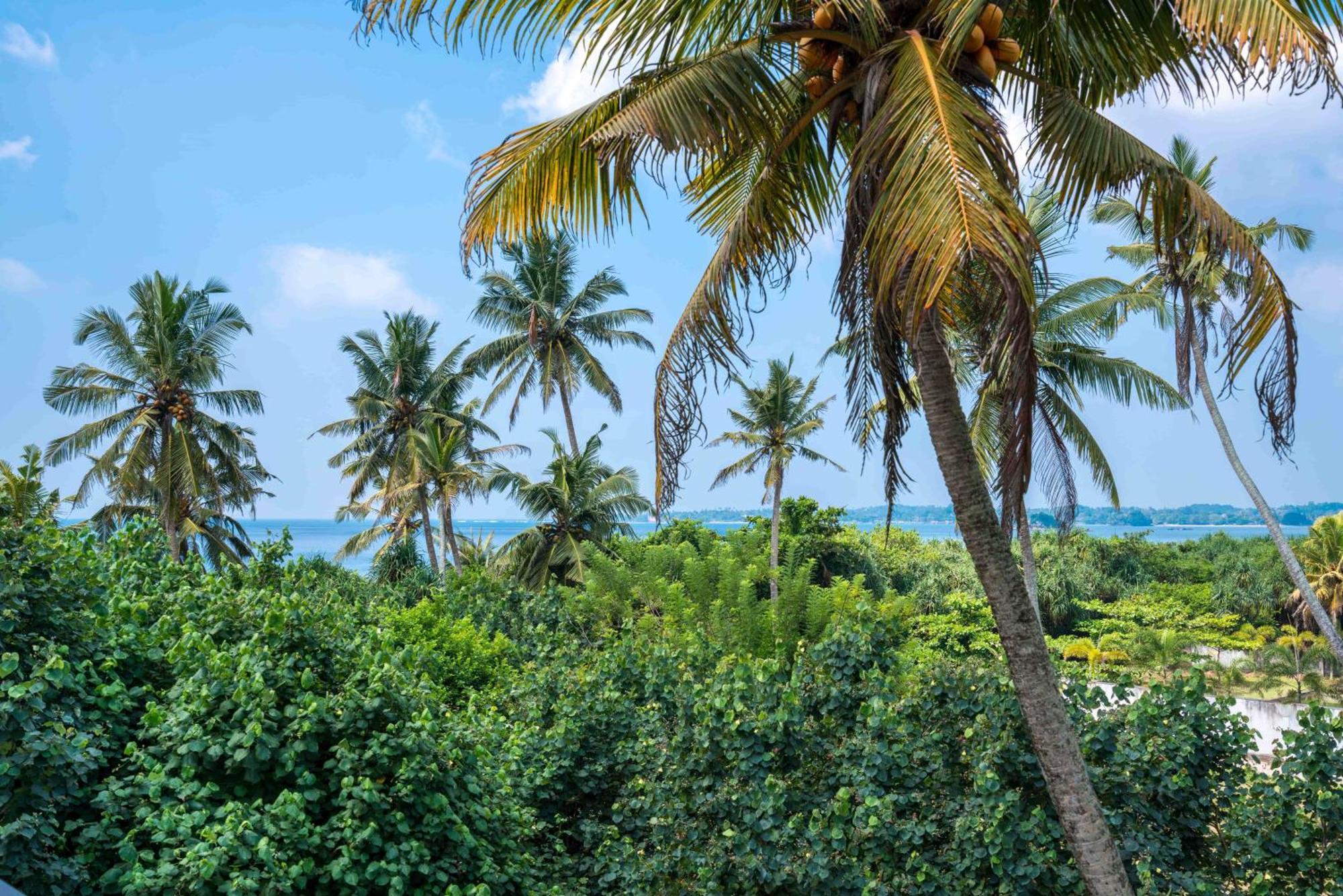 Outpost Weligama Beachfront Номер фото